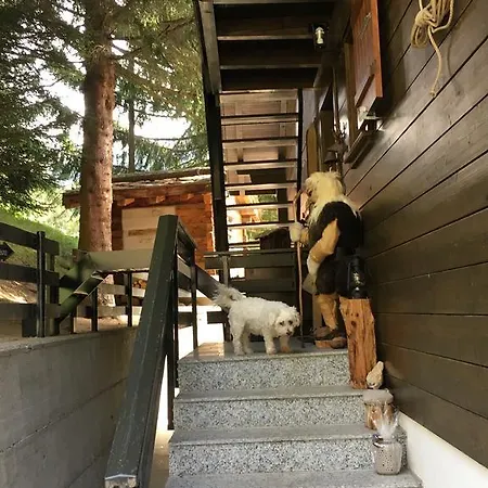 Ariane Blatten bei Naters