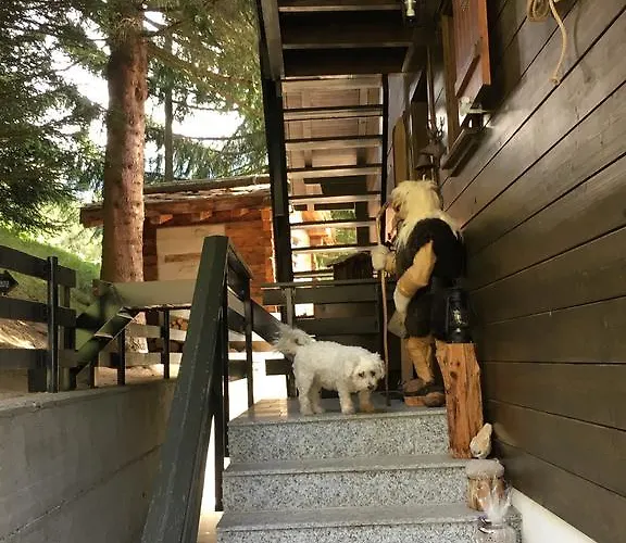 Ariane ナータース