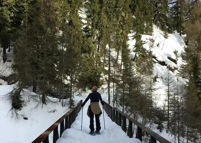 Ariane ナータース